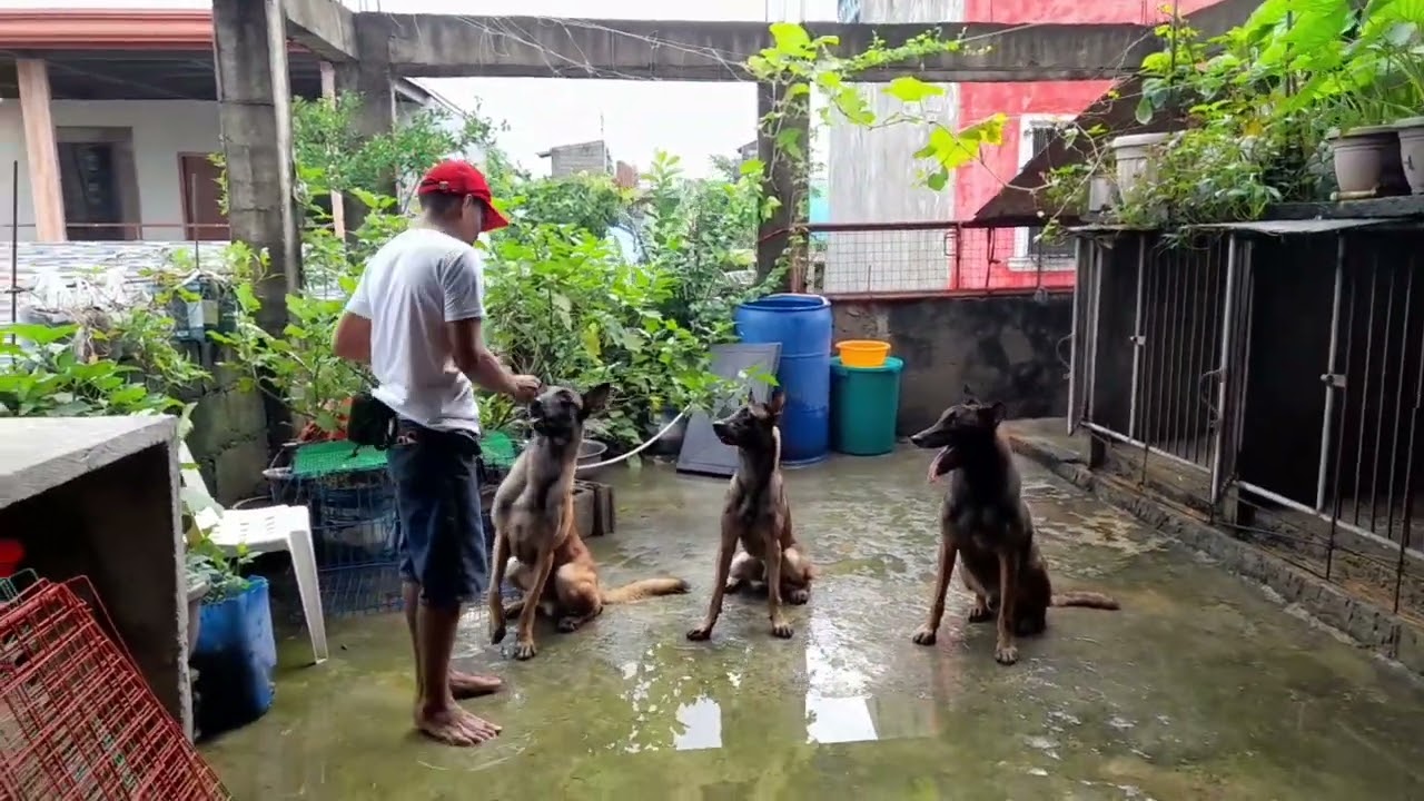 turoan natin silang sumunod ayon sa kanilang pangalan