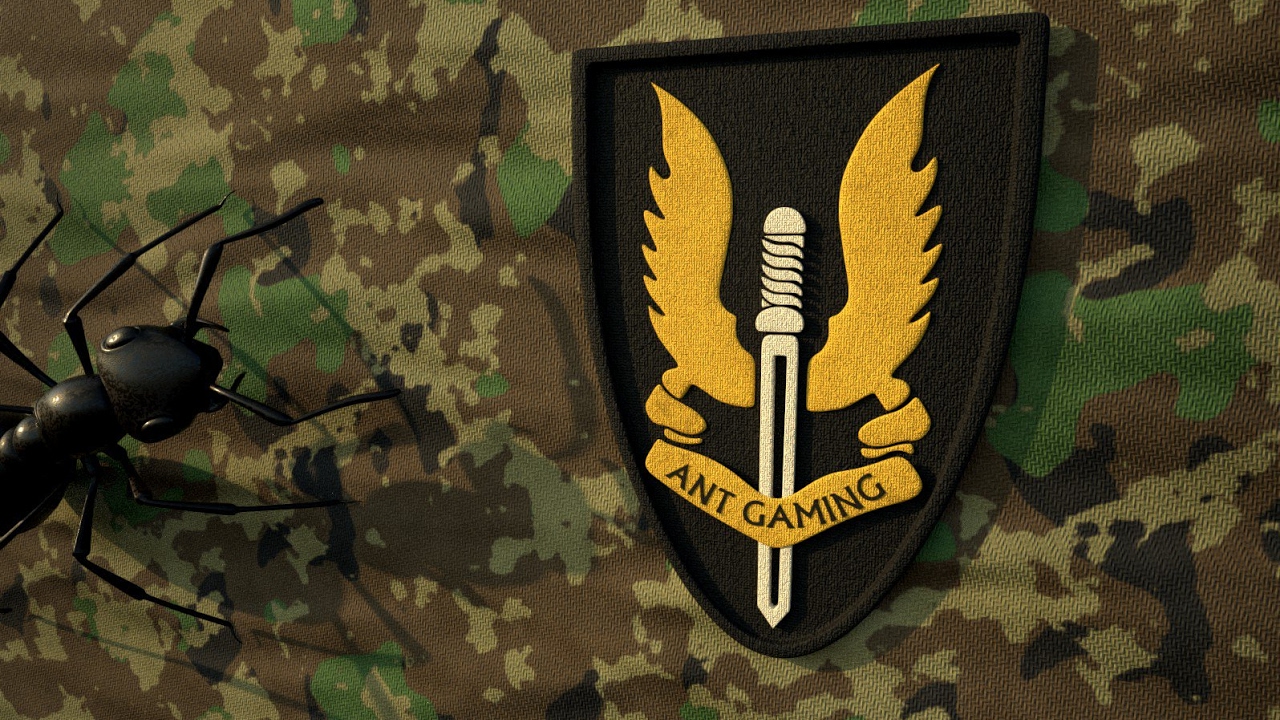 I'm Live Playing | Escape From Tarkov