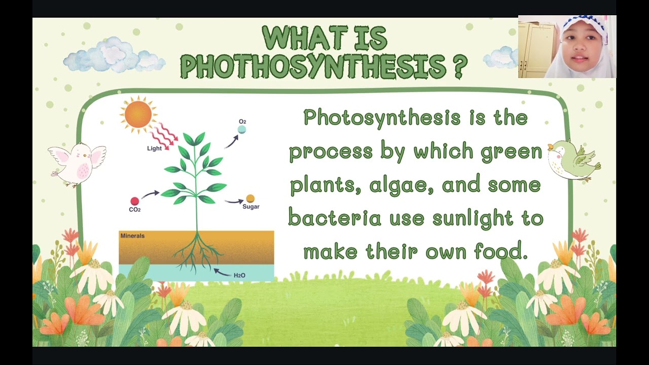 Photosynthesis by Syakira Khansa Halima from class 5.3  _  2026