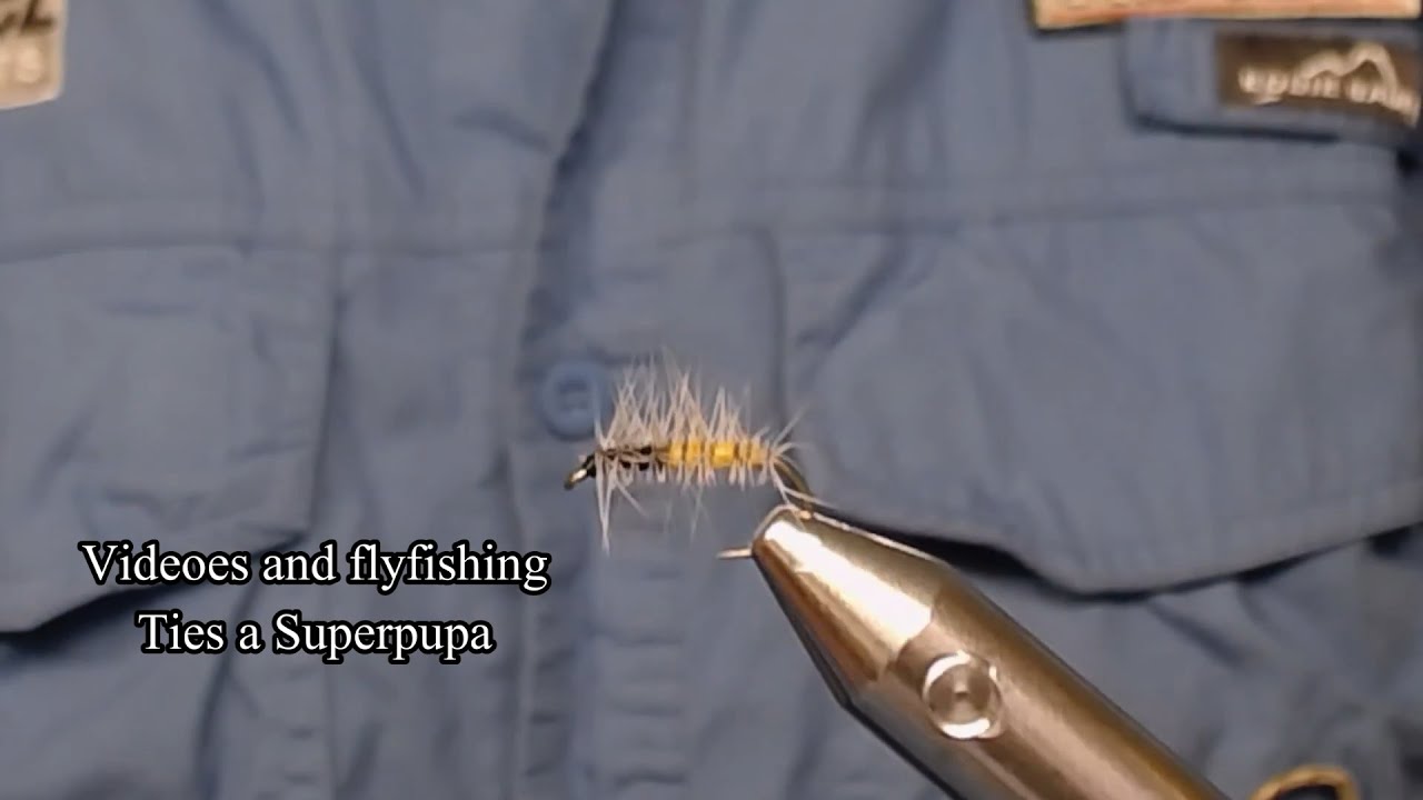 Superpupa
