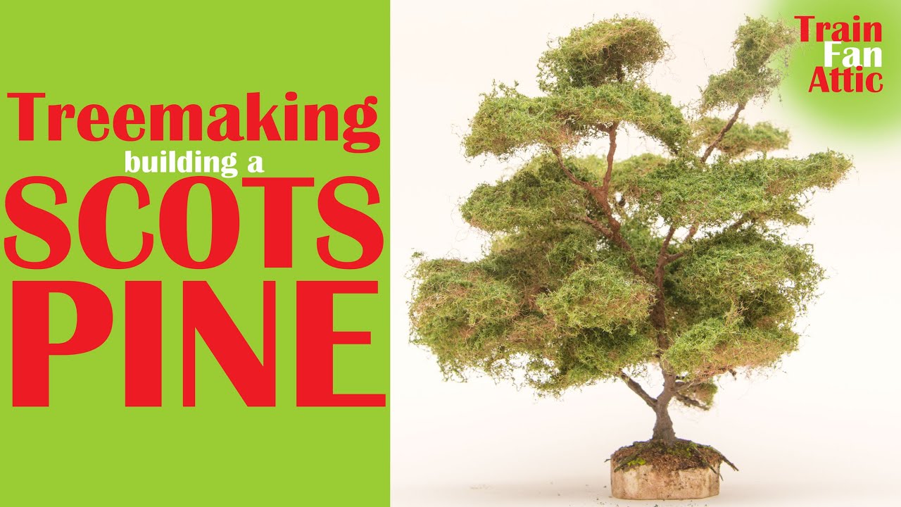 building a h0 scale scots pine