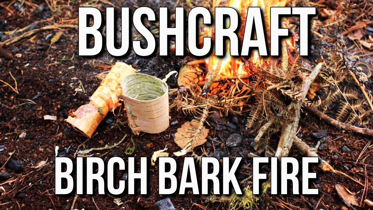 Bushcraft Fire Lighting: Birch Bark Fire | TA Outdoors