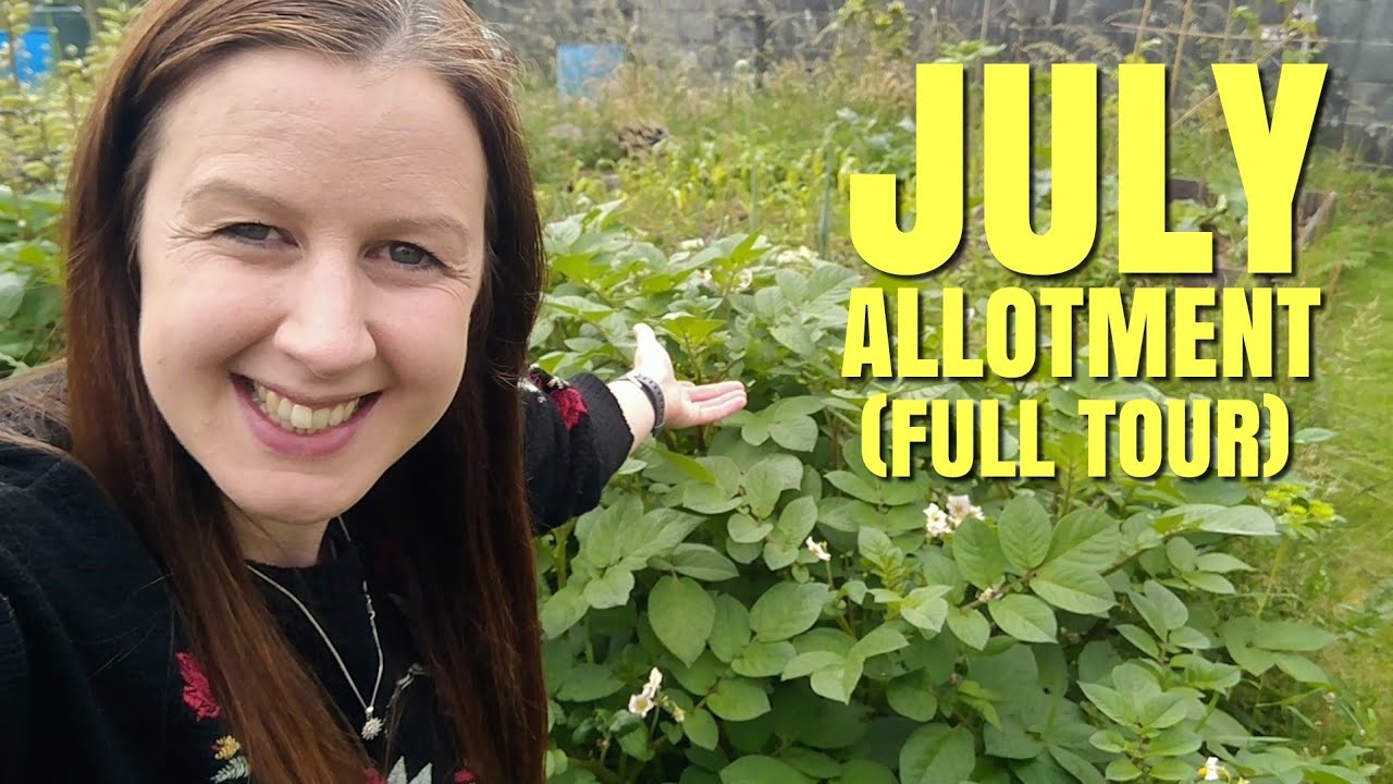 July Allotment Garden Tour 2020