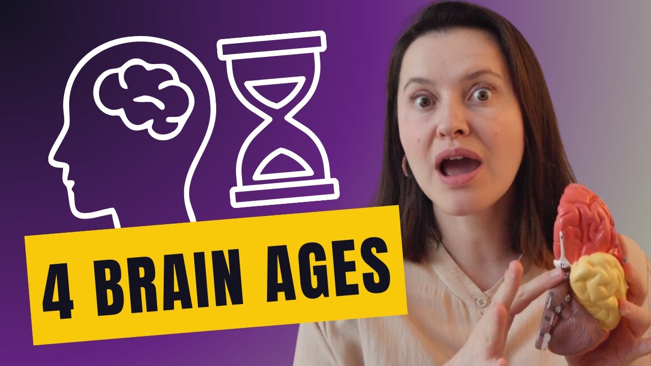 Your Brain Has 4 Critical Ages (Neuroscience Explains Why)