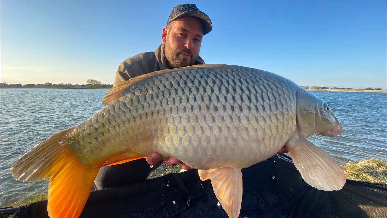 Pêche à la carpe départ sur départ