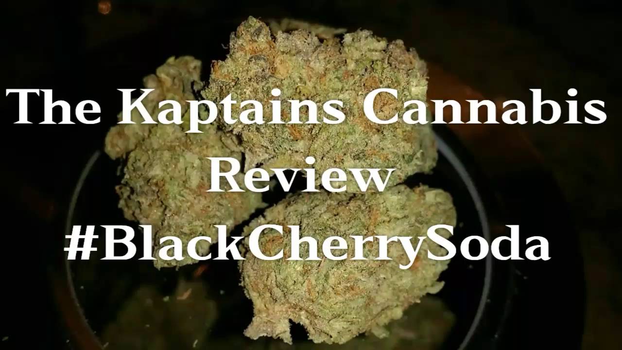 TKS #4 - #SpotlightThisStrain: Black Cherry Soda