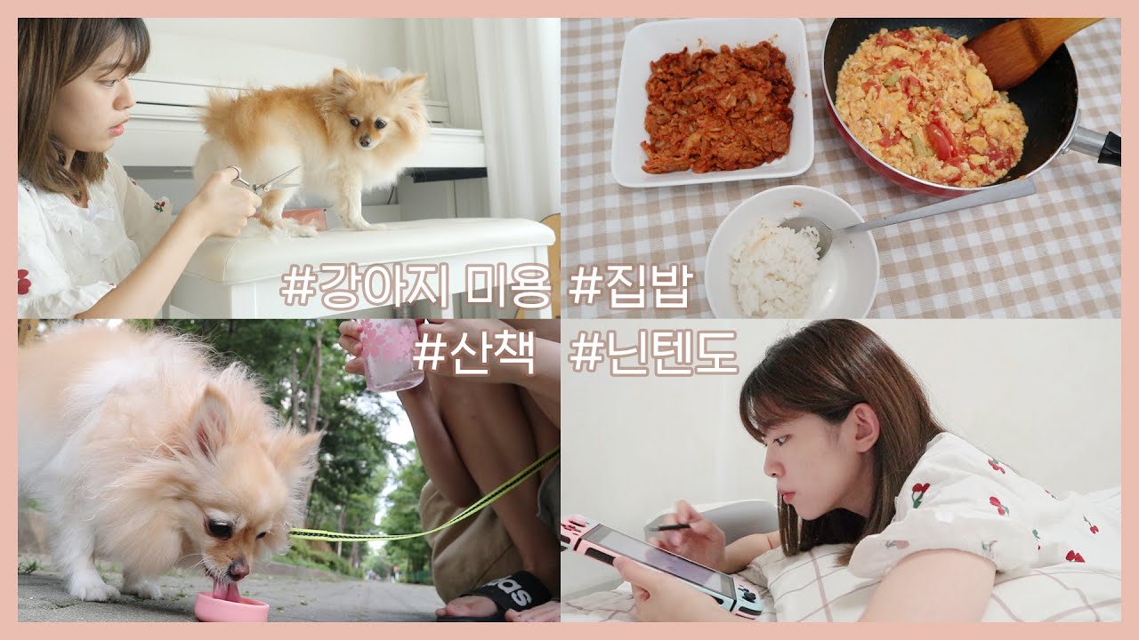 (SUB) 자취생 일상 VLOG/ 하루종일 강아지 케어하며 혼자 잘먹고 잘 놀기 🏠 My Daily Life VLOG