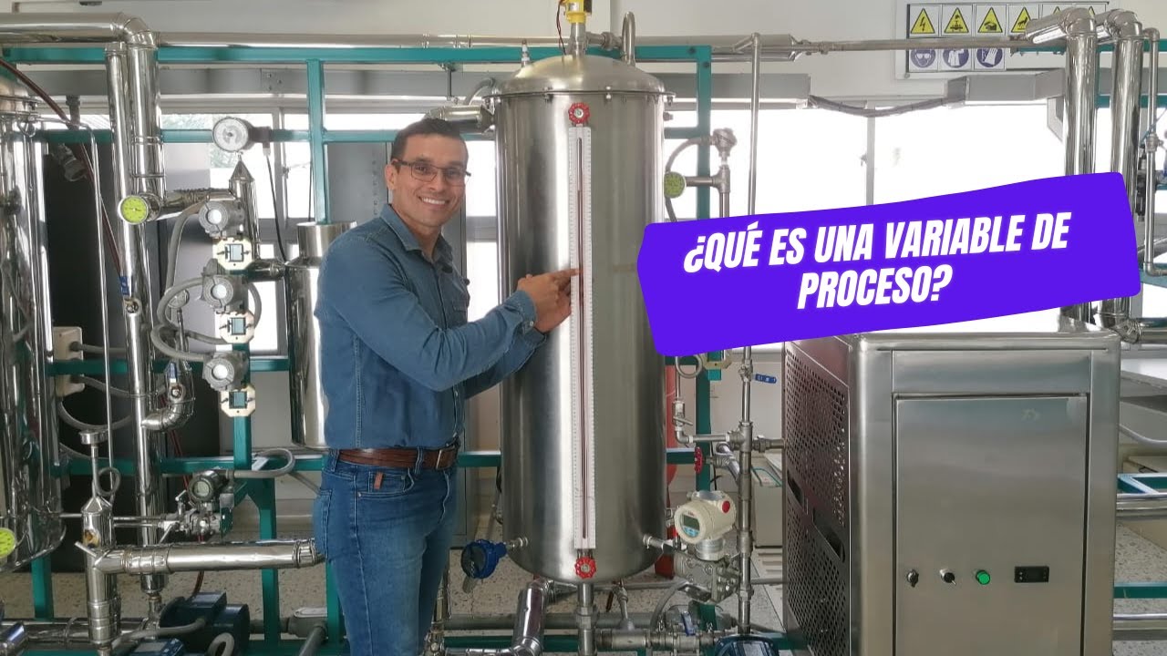 &iquest;Qu&eacute; es una Variable de Proceso?