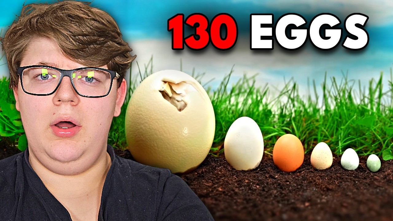 the World's Biggest vs Smallest Eggs