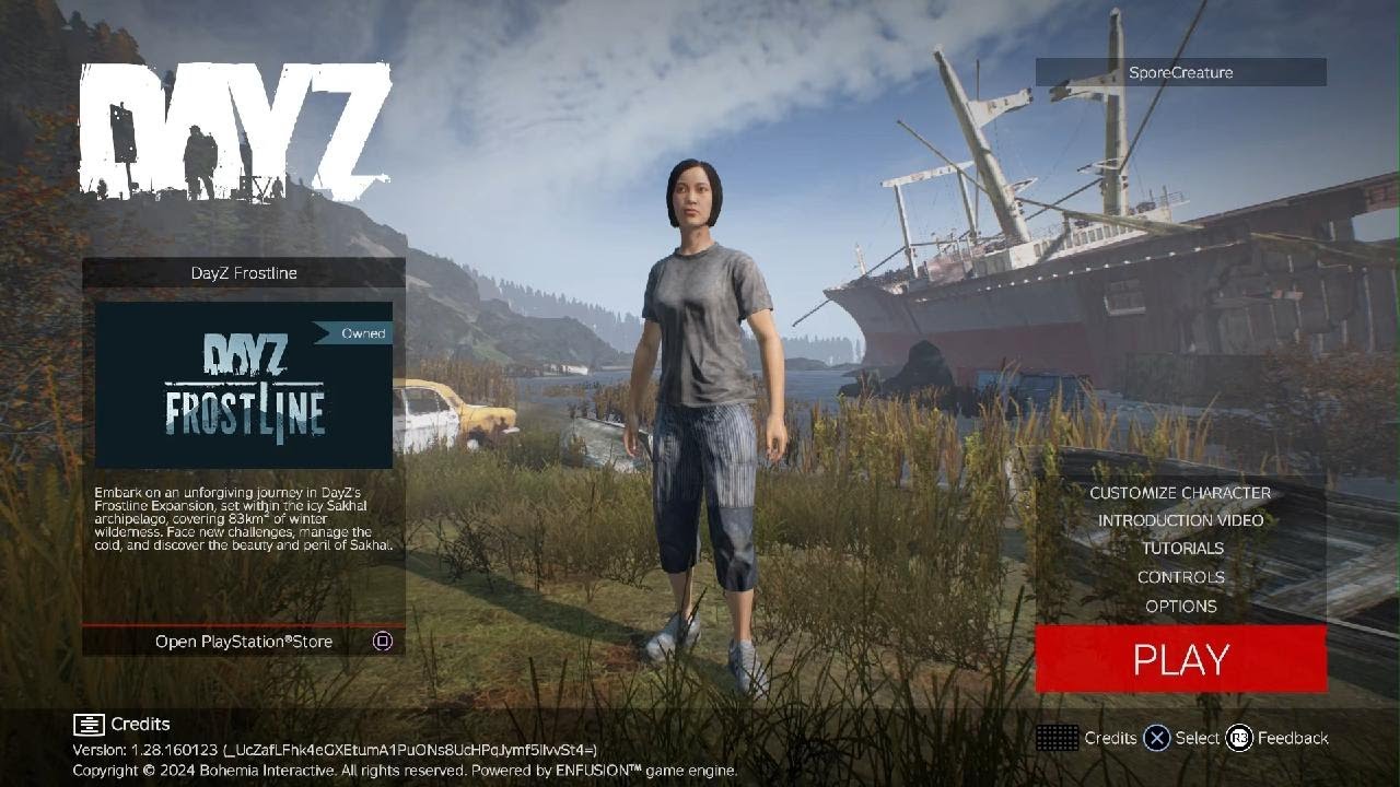 DayZ official temp server