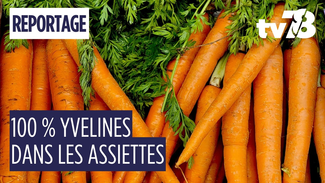 Yvelines : comment cette ferme fournit 40 % des cantines en circuit court