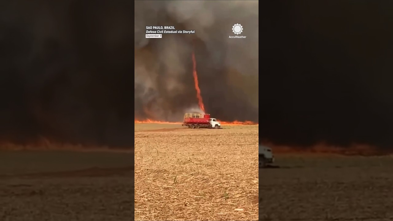 Massive Firenado Whirls in Sugarcane Field