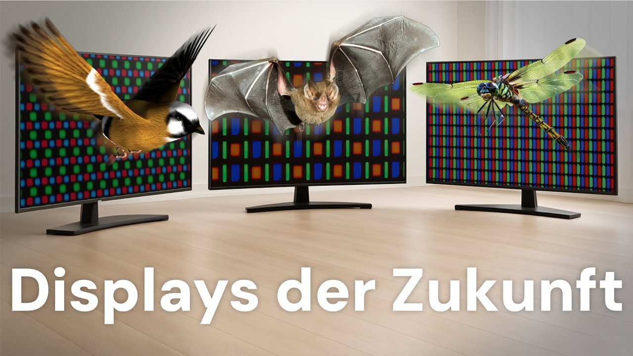 Fernseher der Zukunft: OLED, QD-OLED, RGB Mini LED, Micro LED oder QDEL TV?