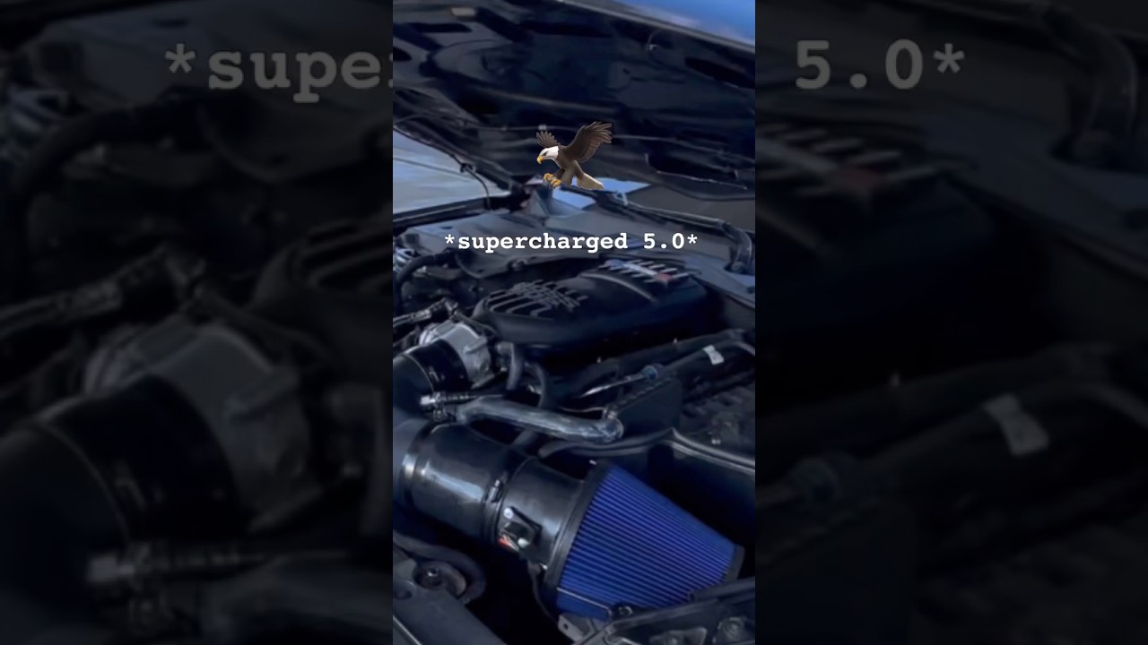 Выхлоп EcoBoost для 5.0?!