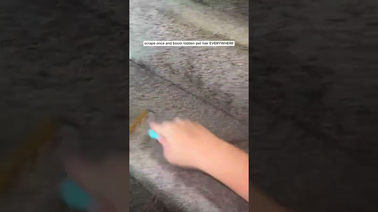 if you have carpeted stairs, STOP EVERYTHING YOU'RE DOING RIGHT NOW!