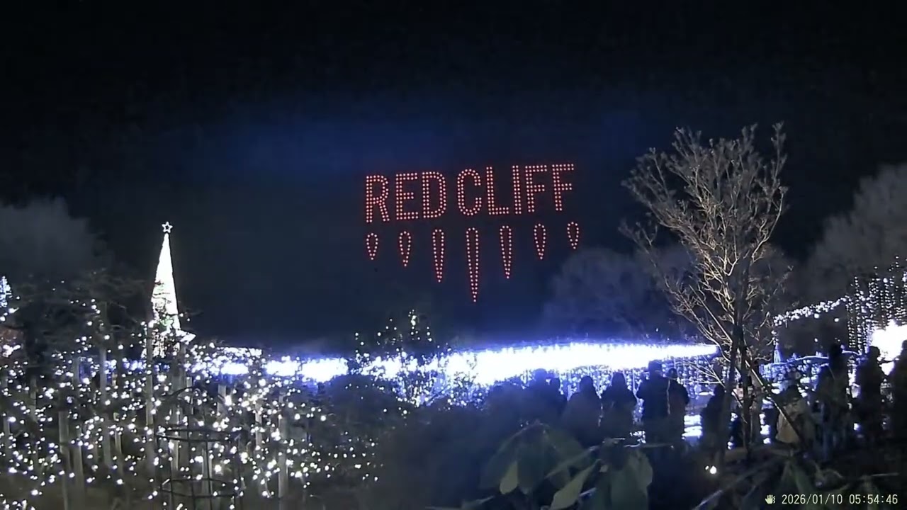 Ashikaga Flower Park Illumination 