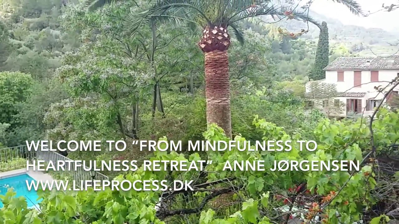 From Mindfulness to Heartfulness Retreats in Mallorca View