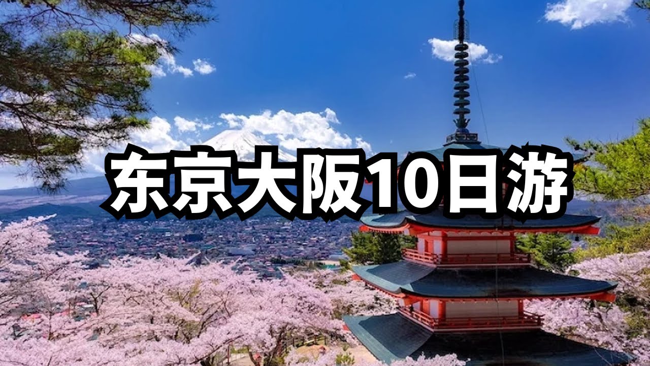东京大阪10日游，我终于理解日本旅游为何能火遍全球，而中国游客却时常不招人待见 （Tony聊世界 20250525第6期）