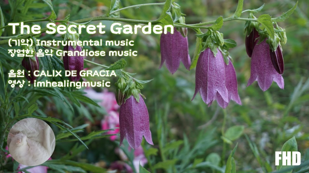 장엄한 음악 Grandiose music (The Secret Garden (기악) - CALlX DE GRACIA)