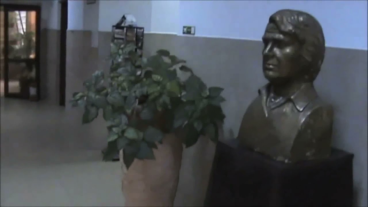 Colegiul National ''Nichita Stanescu'' Ploiesti