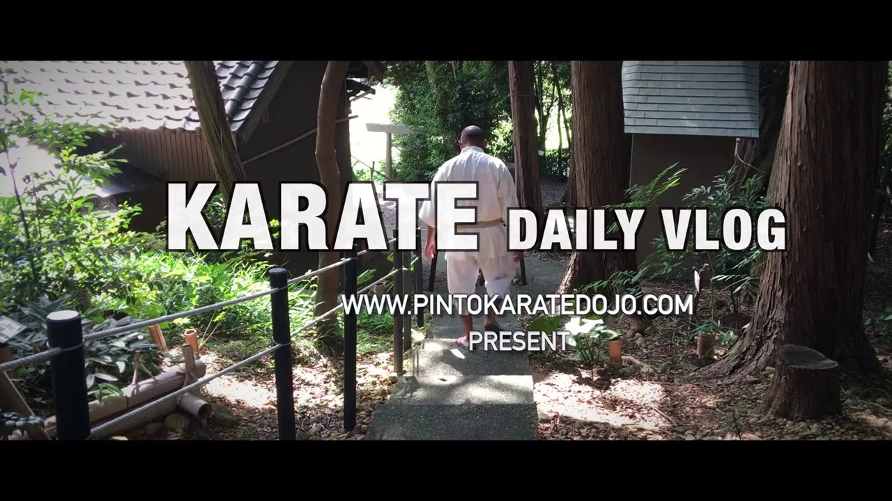 TREINO COM NAKA SENSEI - KARATE DAILY VLOG   2017