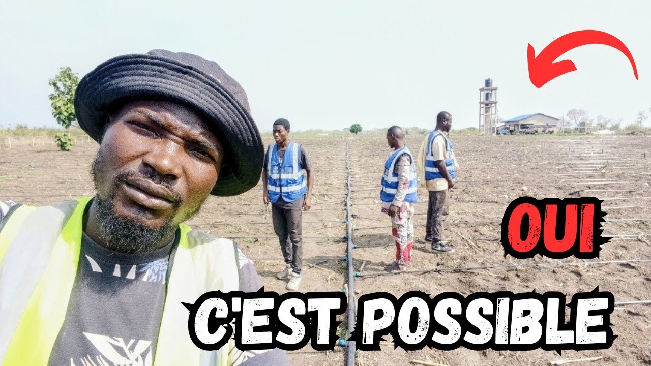 Comment Arroser 1 Ha de Tomate en Moins de 8 Heure par Jour❓