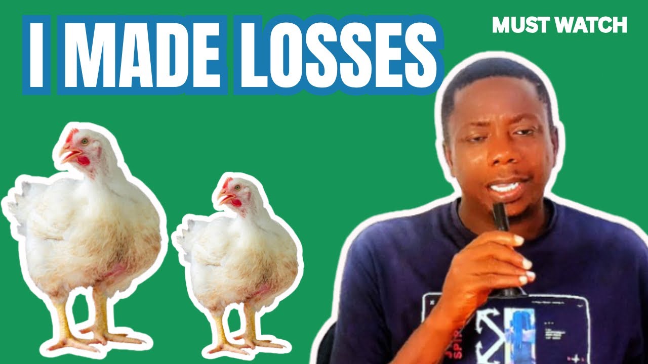 The major reason I didn’t make profit( must watch ) #poultryfarming broiler farming,poultry farming,