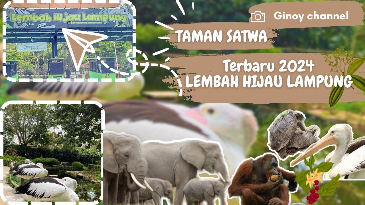 LEMBAH HIJAU LAMPUNG TERBARU 2024 |lengkap full |  taman satwa lembah hijau lampung 📍