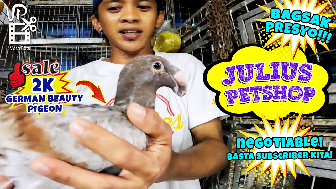 ARRANQUE PETSHOP | PRICE UPDATE SA MGA PETS SA JULIUS PETSHOP BAGSAK PRESYO LAHAT! | PT 2/2