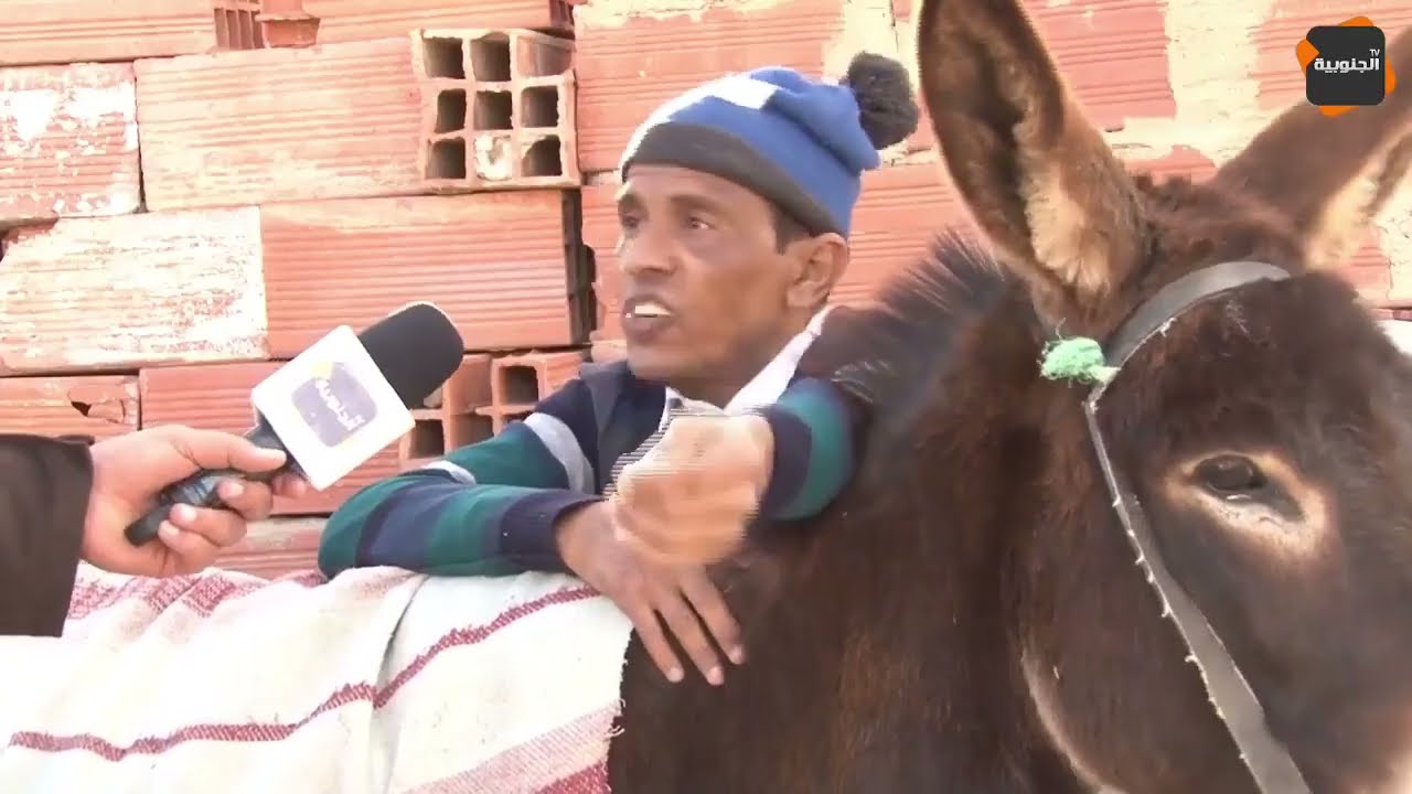 النقار: تونس تعيش تحتها  ثروة البهامة😂😂وشعار أعلف وسكر فمك والعصا لمن عصى 😂😂