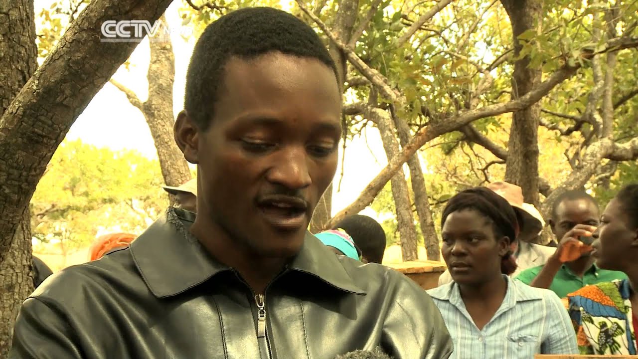 Zimbabwe Bee Keeping