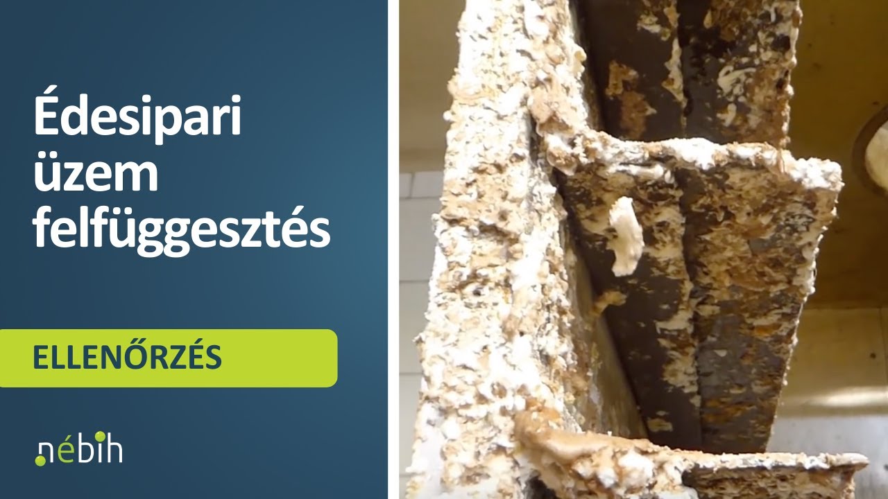 &Eacute;desipari &uuml;zem felf&uuml;ggeszt&eacute;s
