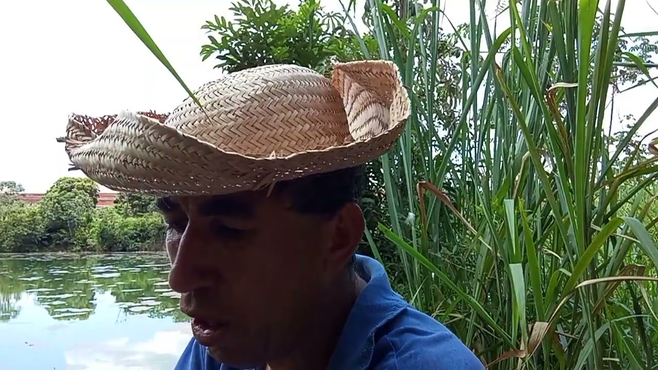 Fica até final e vejam as cobras desfilando na água 