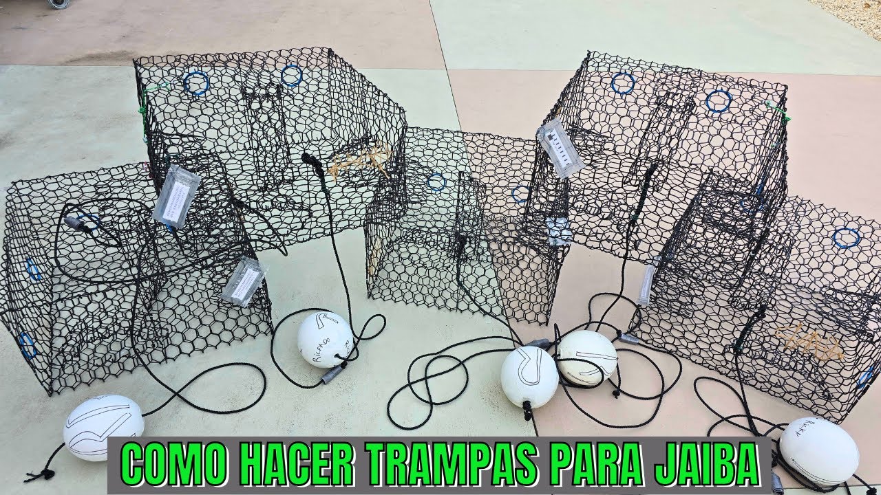 Como Hacer Trampas Para JAIBAS Tutorial!