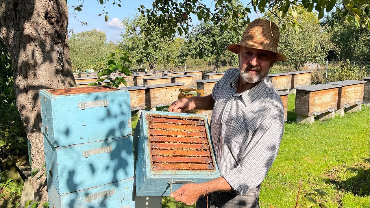 Вулик «Удав»... Beekeeping (20.09.2025 р.)