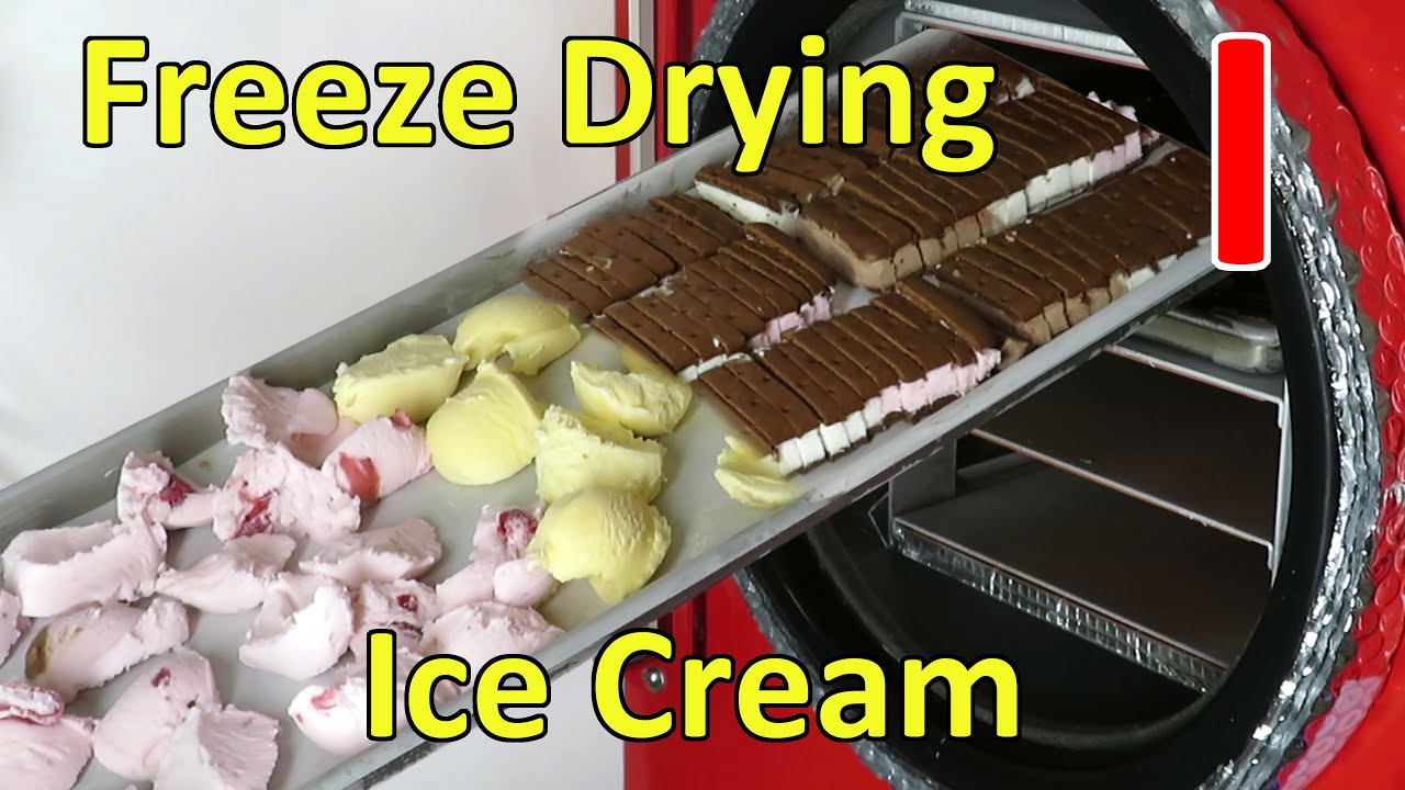 Freeze Drying Ice Cream & Ice Cream Sandwiches
