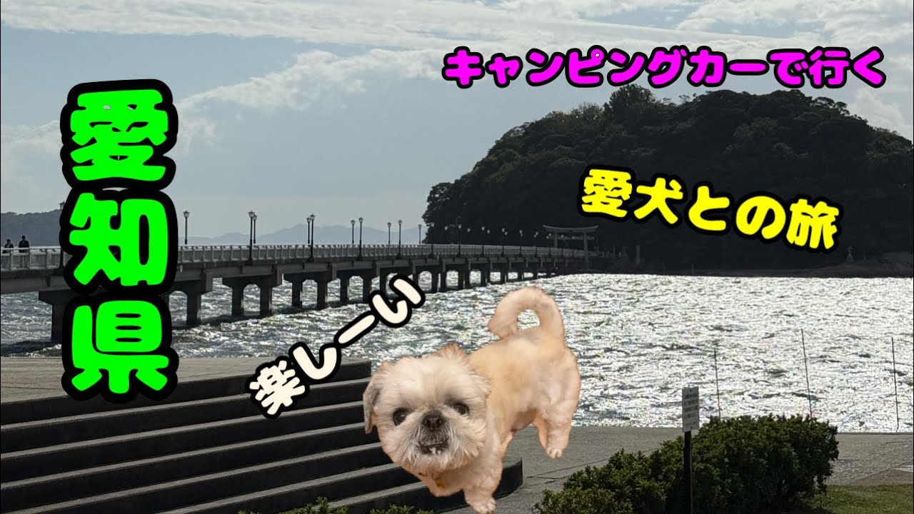 愛犬と行くキャンピングカーの旅②