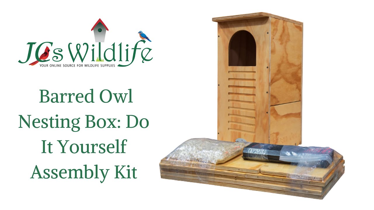 DIY Barred Owl Kit Assembly
