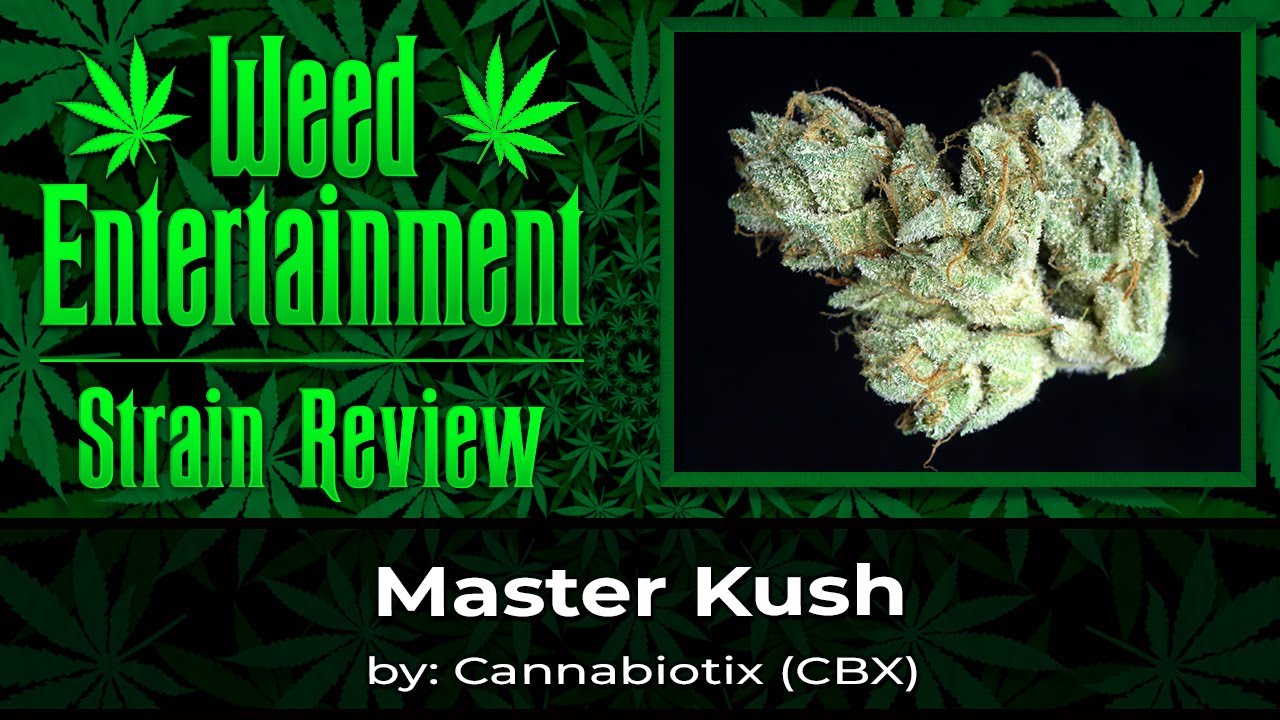 Grand Master by Cannabiotix - Review - July 2024