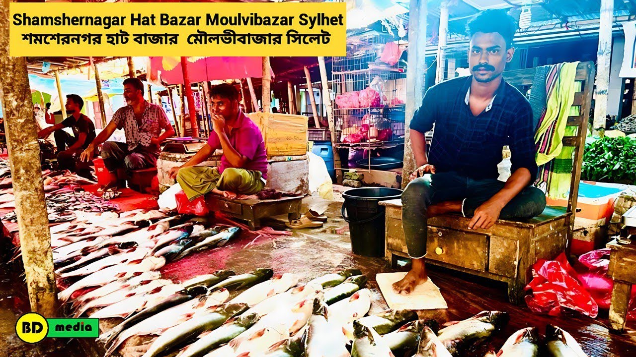 Shamshernagar Hut Bazar Moulvibazar - Sylhet শমশেরনগর হাট বাজার মৌলভীবাজার - সিলেট