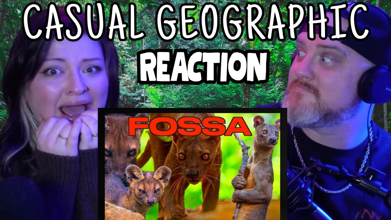 ПРИРОДА НАРУШЕНА... 💀 | Реакция Casual Geographic