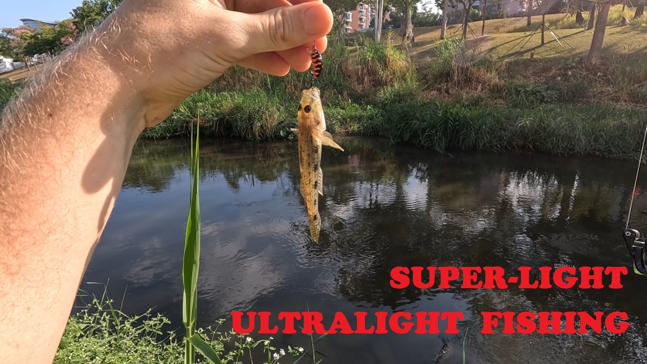 A very strange ultralight fishing of goby in a shallow river in Shenzhen