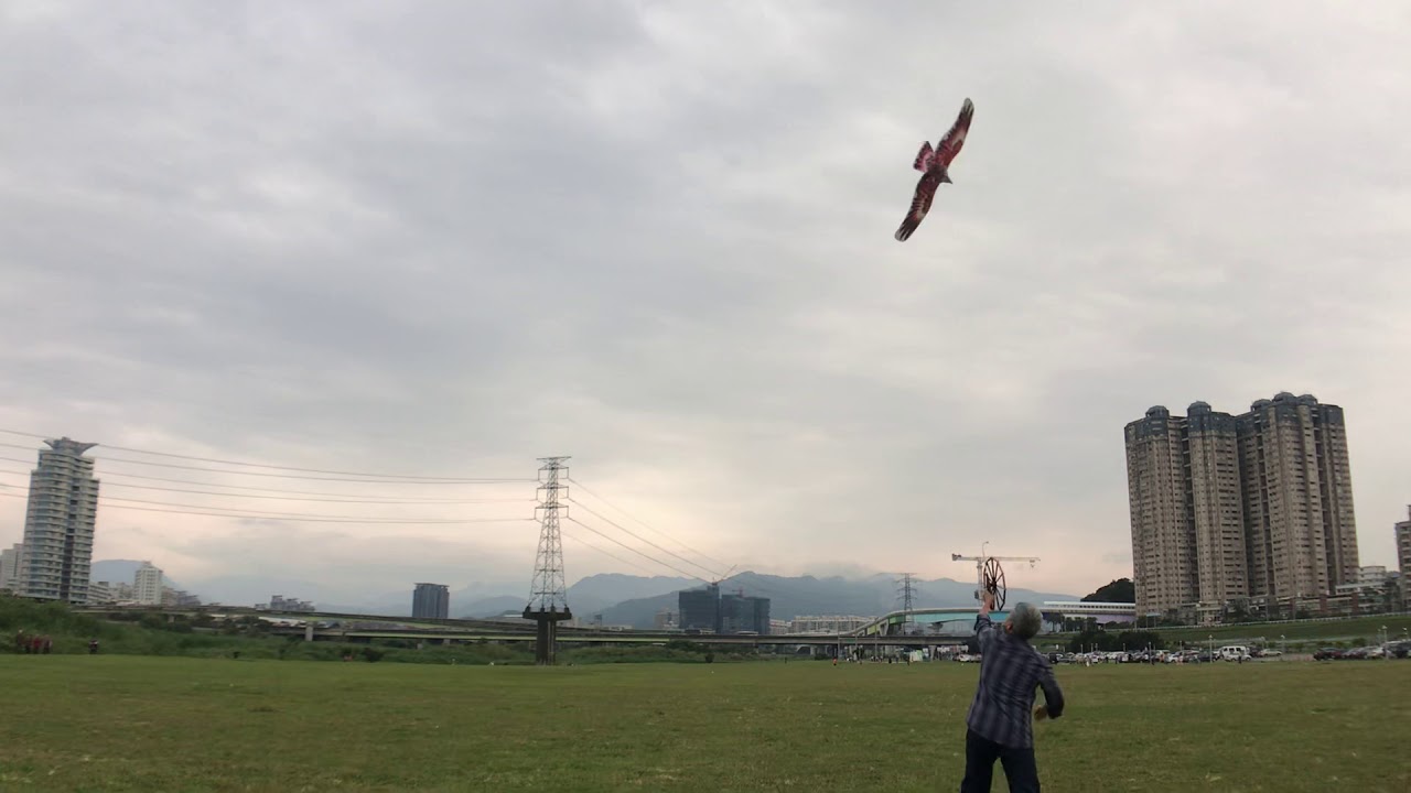 盤鷹風箏2019/03/17有運動量的玩法，耍完一身汗很過癮！
