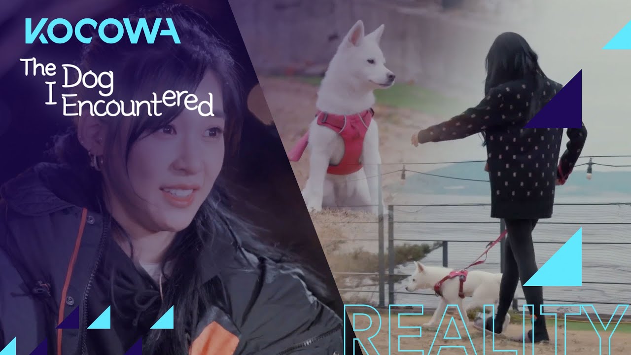 Tiffany Young starts Party's leash training [The Dog I Encountered Ep 2]