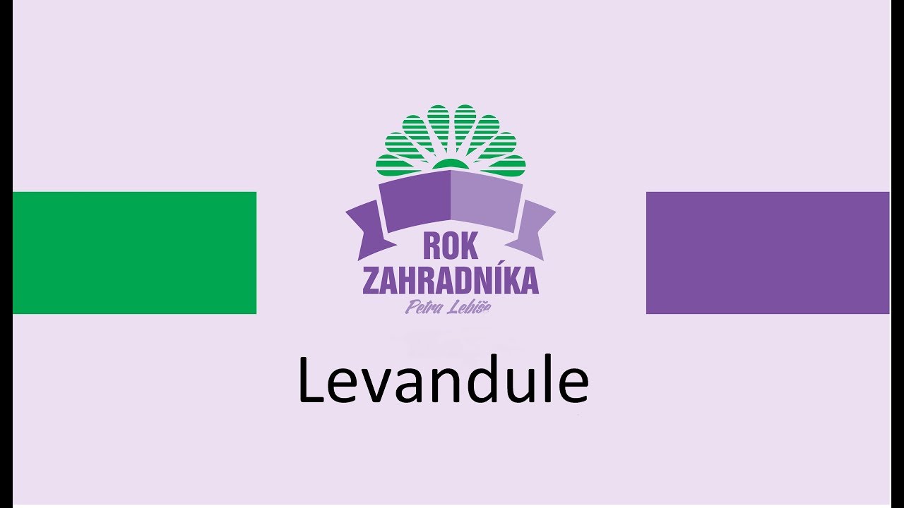Levandule