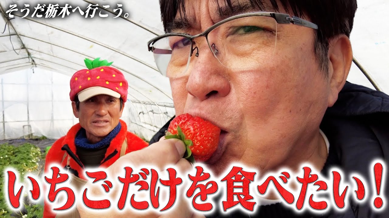 大好きないちごだけを食べに、貴ちゃんいちご王国・栃木へ🍓アポなしロケに事件発生⁉️