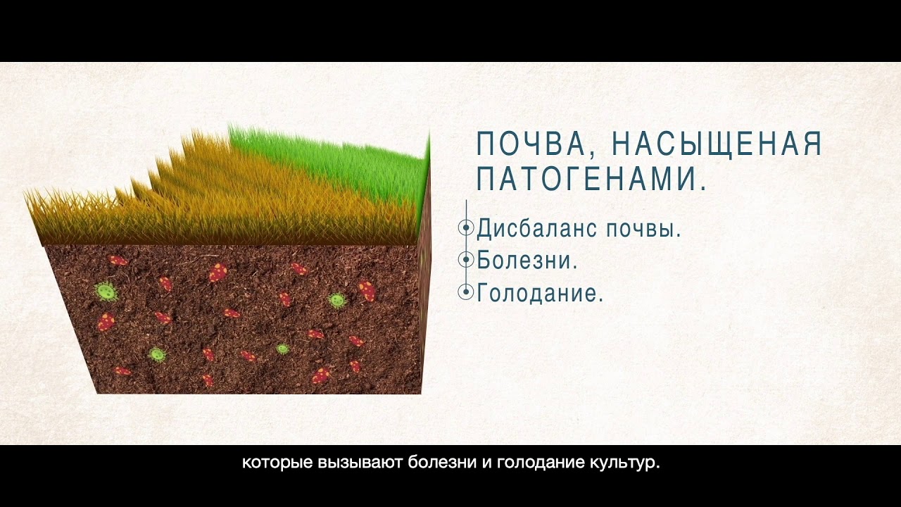 XTENDER ROW | Русский язык | Kimitec Group
