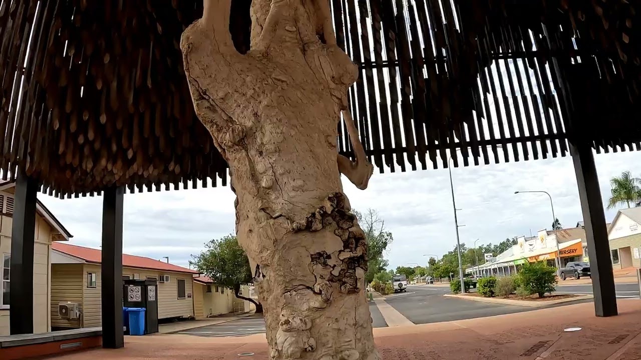 Tree of Knowledge @ Barcaldine