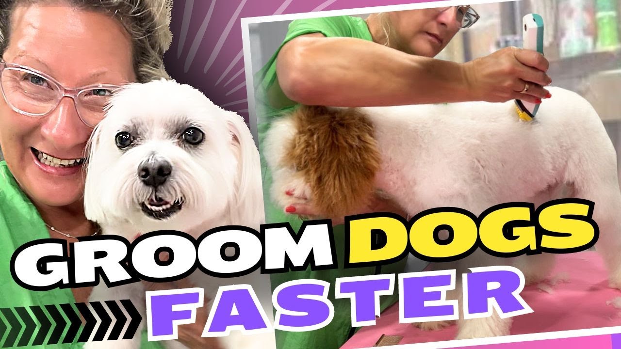 Secret to Grooming Dogs Faster⚡️