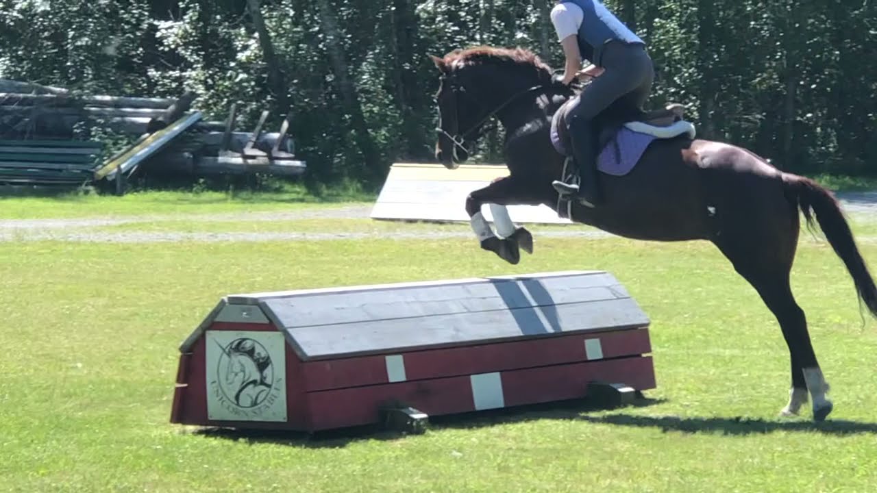JC Brown Park Cross Country 2021 05 29